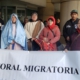 Pastoralmigratoria