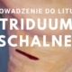 Wprowadzeniemo